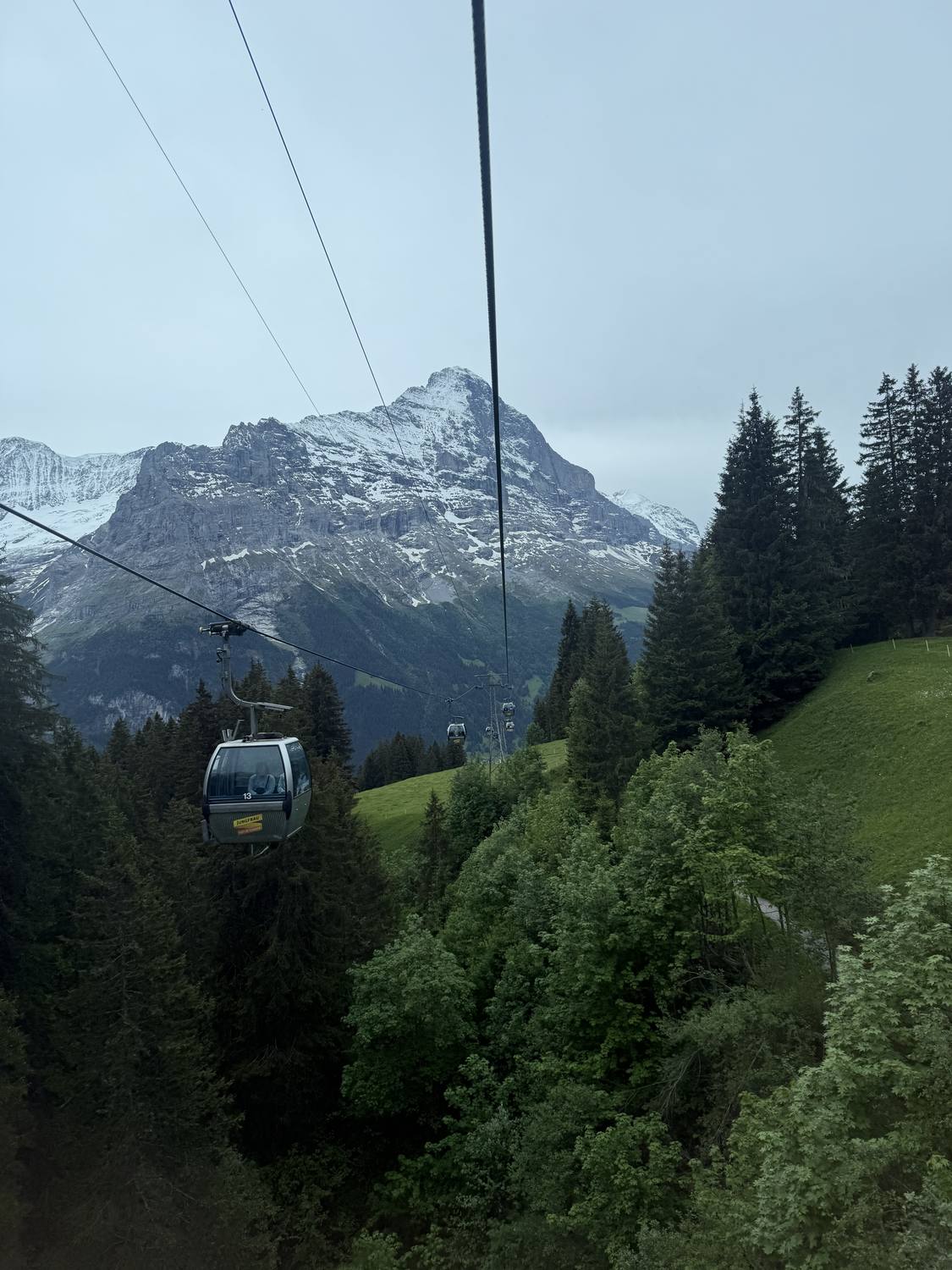 A Firstbahn gondola climbing towards First below the Wetterhorn