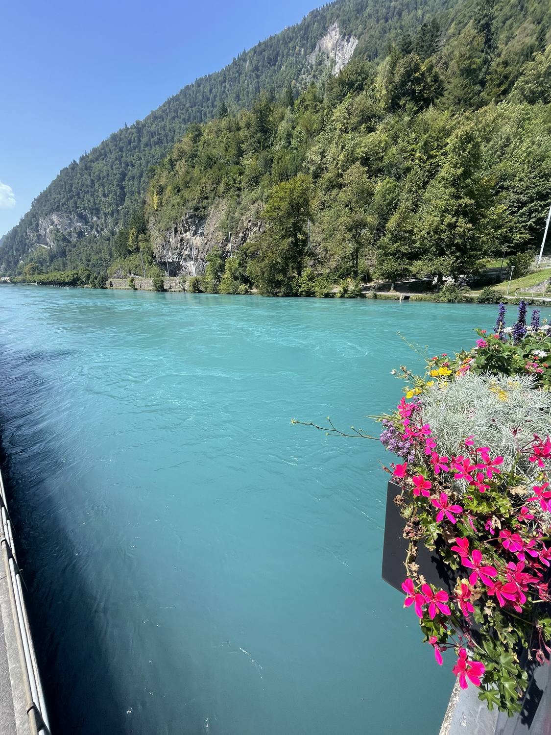 The turquoise Aare flowing through Interlaken, with flowers on the bridge railing