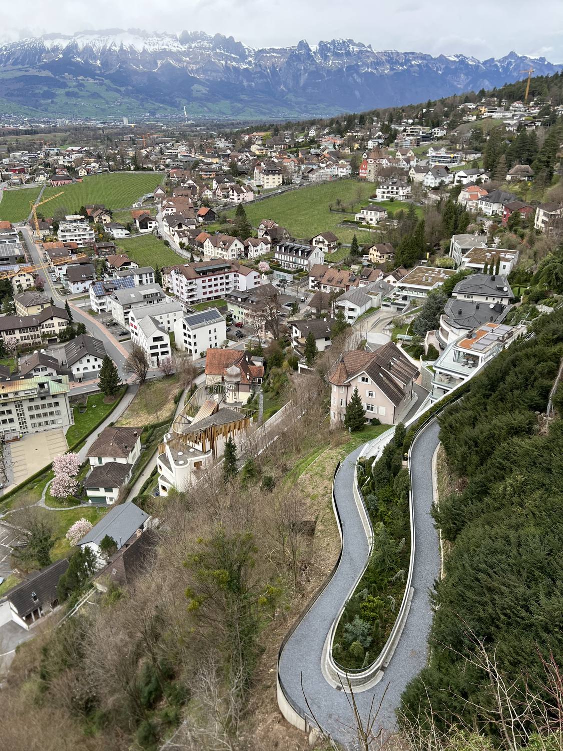 Vaduz spread across the Rhine valley below the castle path, the Swiss Alps on the far side