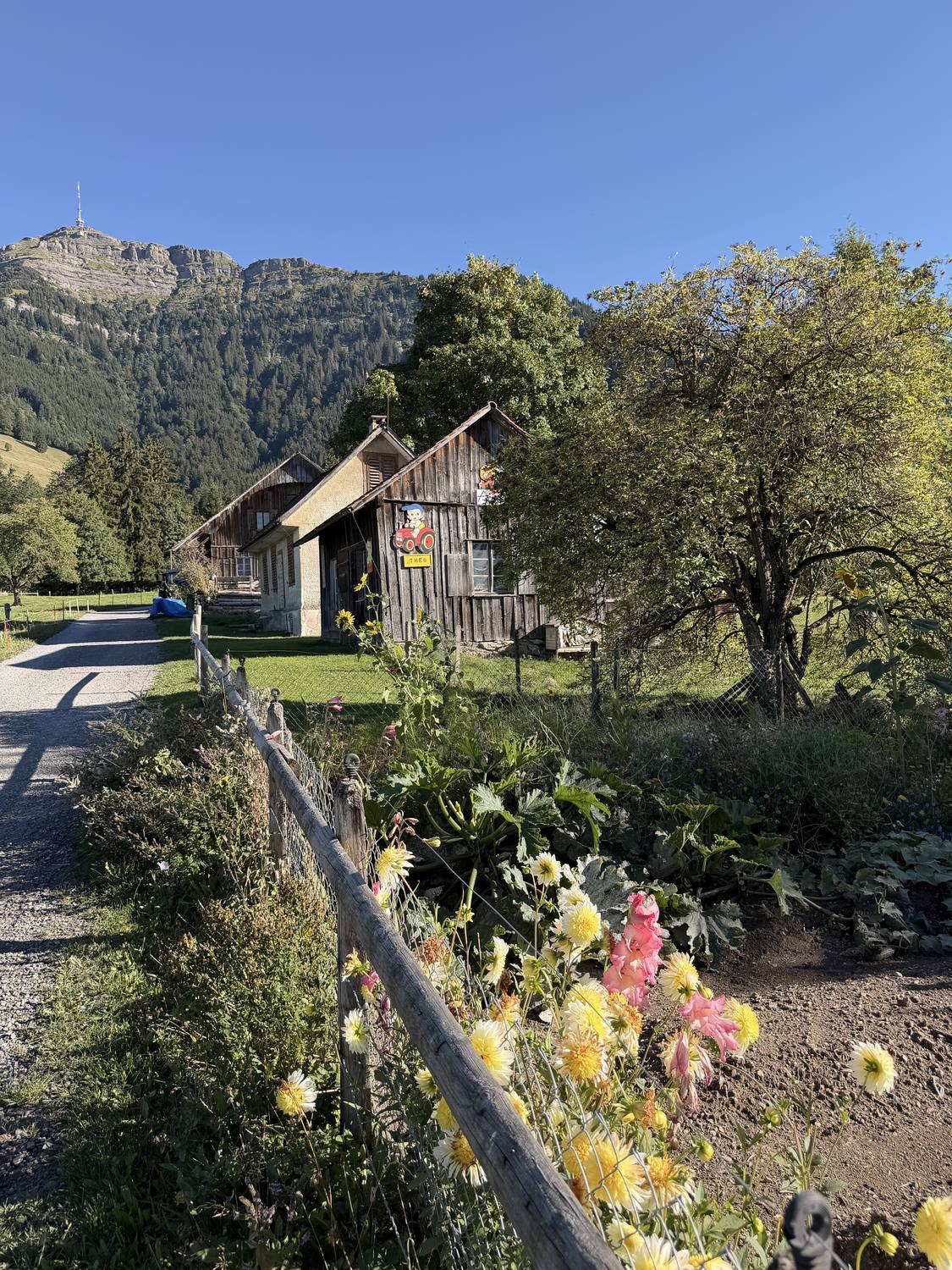 A flowered chalet on the Seebodenalp above Lake Lucerne, the Rigi summit behind