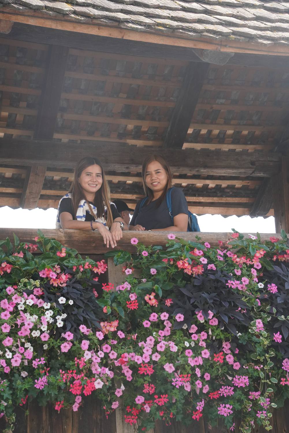 Two guests leaning out of the Chapel Bridge in Lucerne above its pink flower boxes
