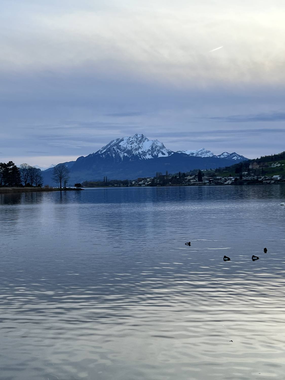 Lake Lucerne still as glass at dawn with the snow-covered Pilatus across the water