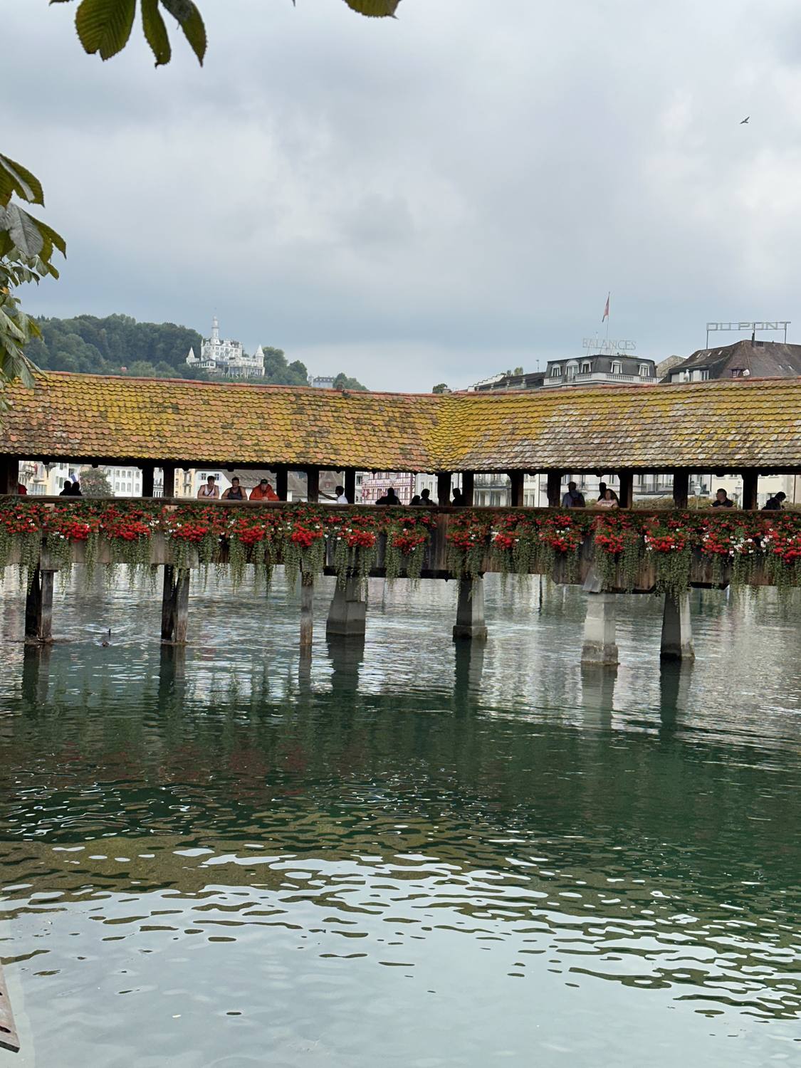 The Chapel Bridge in Lucerne on its wooden piles, hung with red geraniums above the Reuss