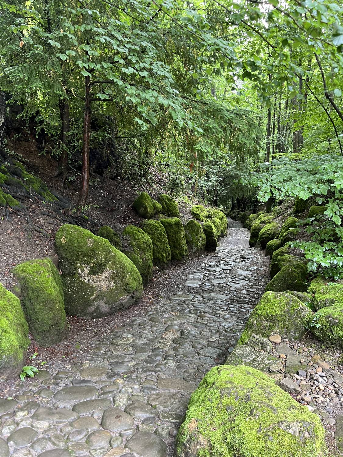 The sunken Hohle Gasse path near Kuessnacht, its mossy walls closing in