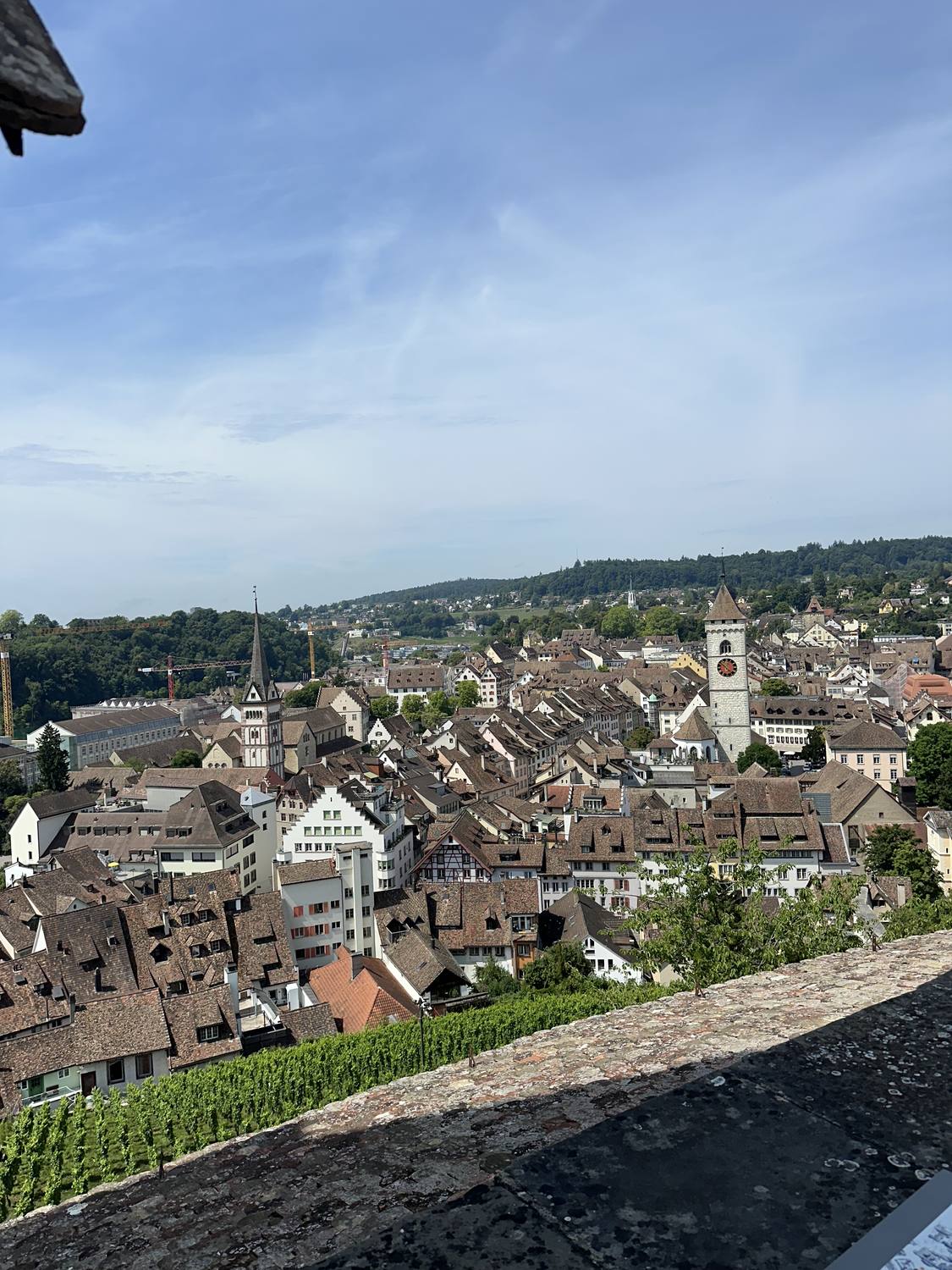Schaffhausen's old town and vineyards seen from the Munot fortress