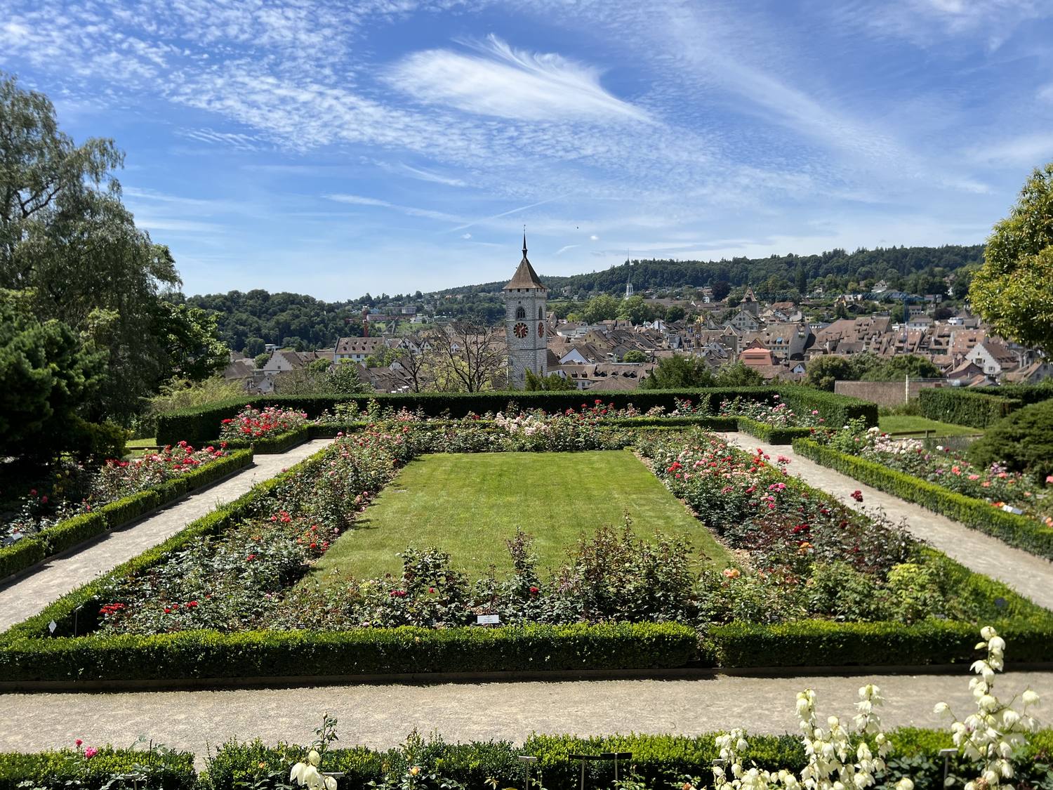 The rose garden below the Munot with the roofs of Schaffhausen behind