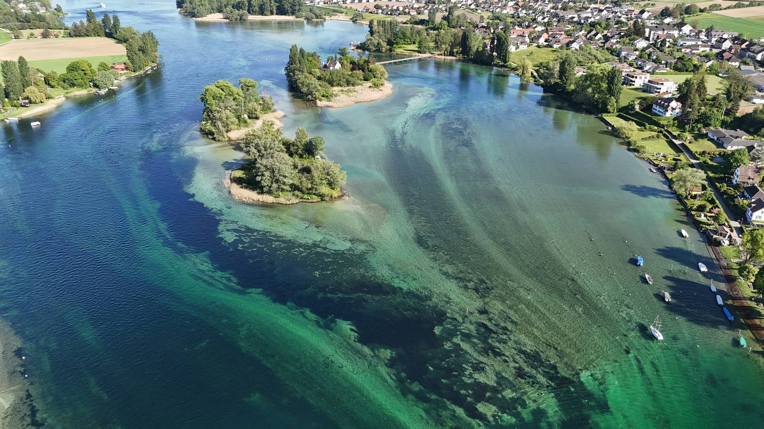 The clear green Rhine flowing past the wooded Werd islands near Stein am Rhein