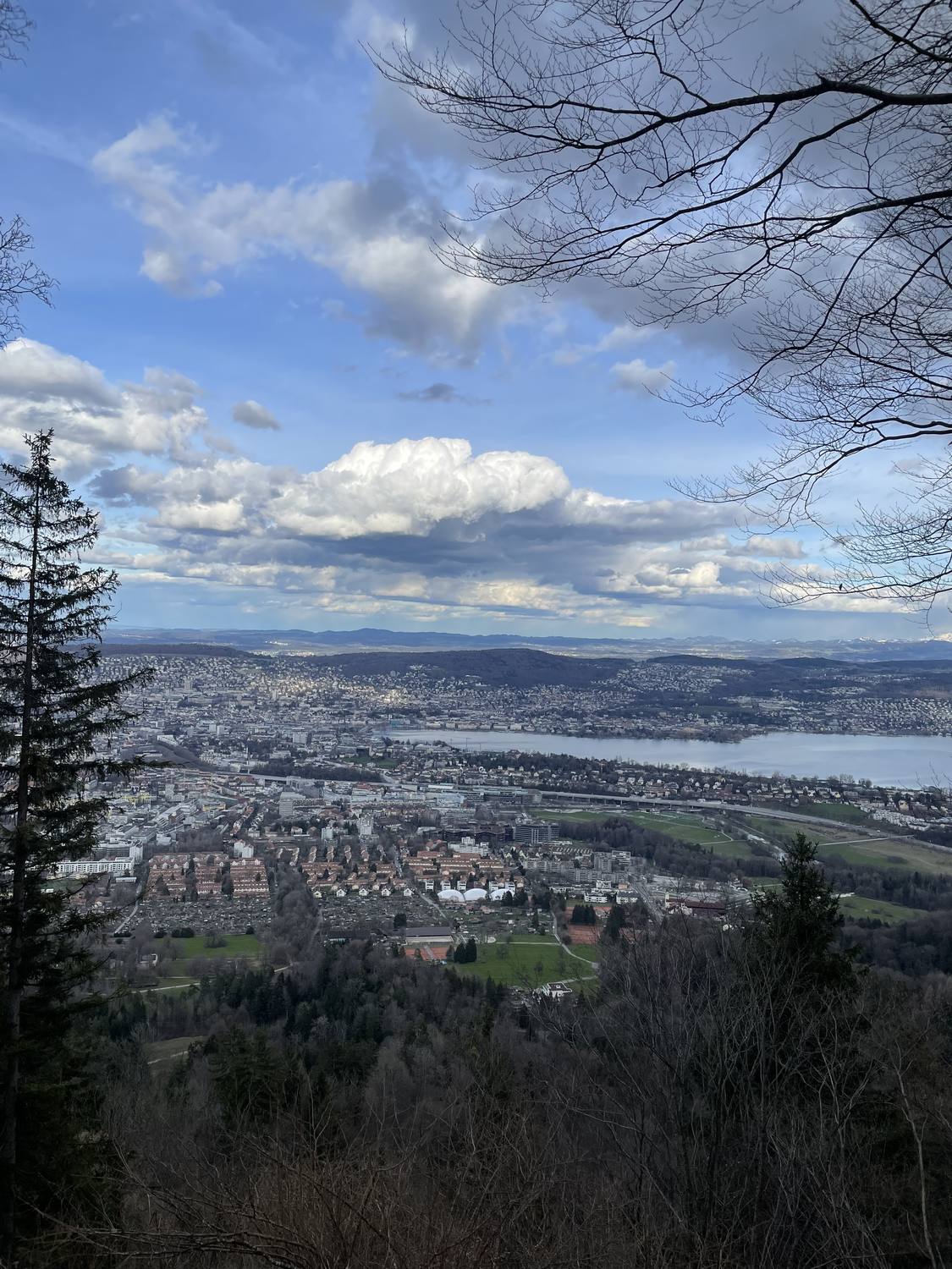 Zurich and the whole length of its lake seen from the Uetliberg